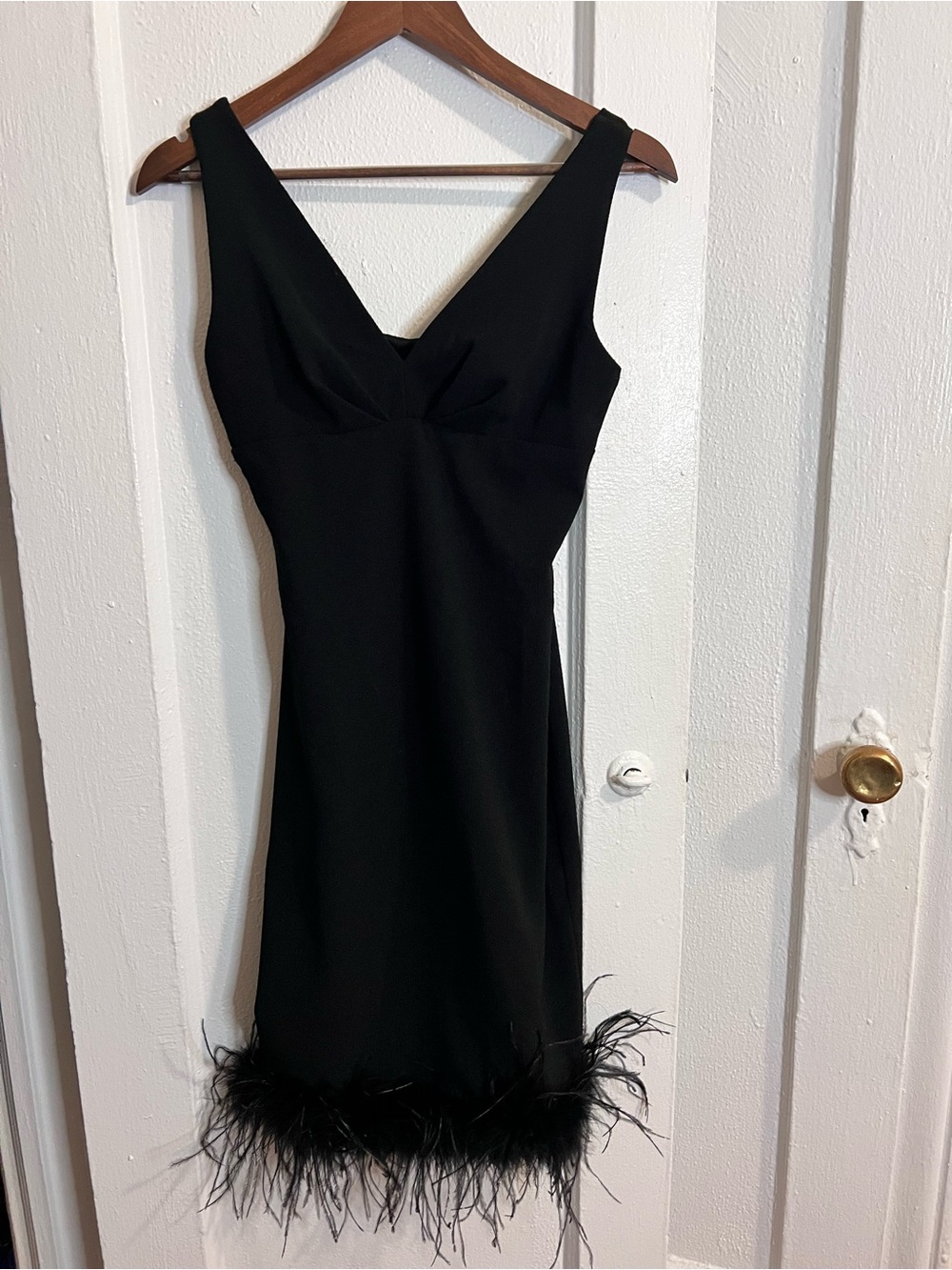 MARINA Black Sleeveless V-Neck Mini Dress with Feather Hem